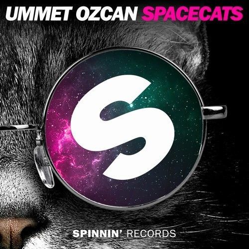 Spacecats Spacecats