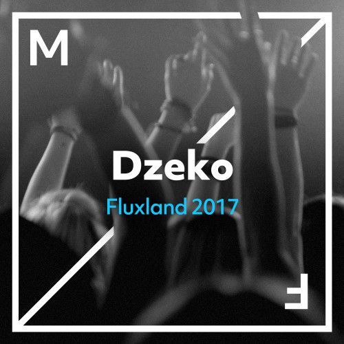 Fluxland 2017 Fluxland 2017