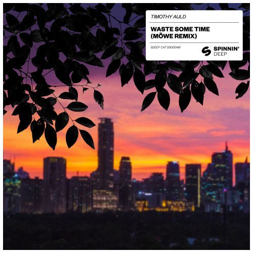Waste Some Time (MÖWE Remix) Waste Some Time (MÖWE Remix)