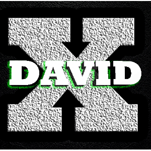 David X15